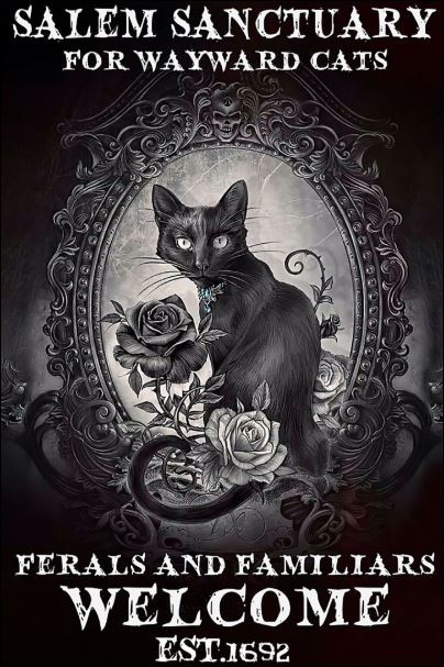 A black cat sits before a mirror with roses wrapped around the bottom. The caption above and below the image reads ”Salem Sanctury for Wayward Cats / Ferals and Familiars Welcome”