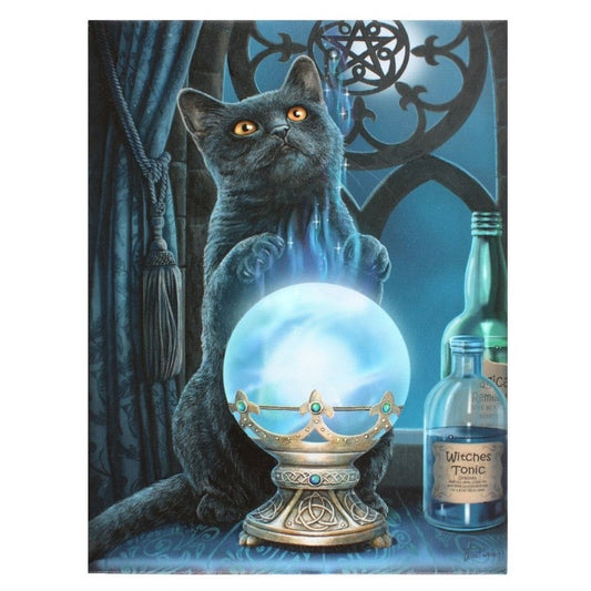 A canvas of a grey cat standing on its hind paws and waving its front paws above a crystal ball as psychic energy flows between them.